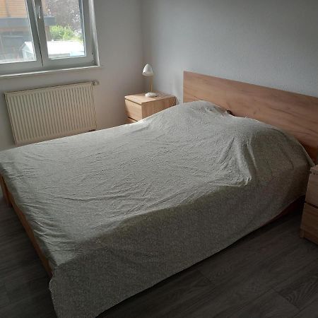 Appartement 3 Pieces Avec Balcon Rhinau エクステリア 写真