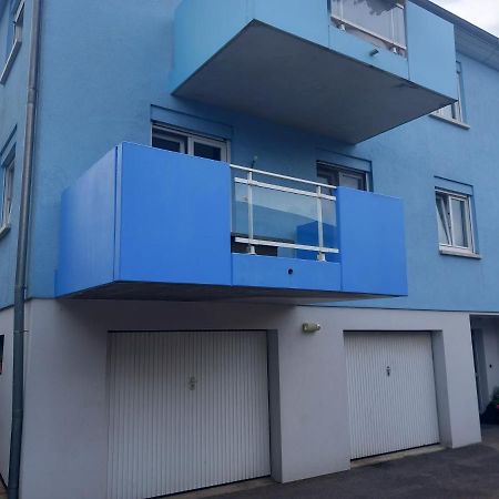 Appartement 3 Pieces Avec Balcon Rhinau エクステリア 写真