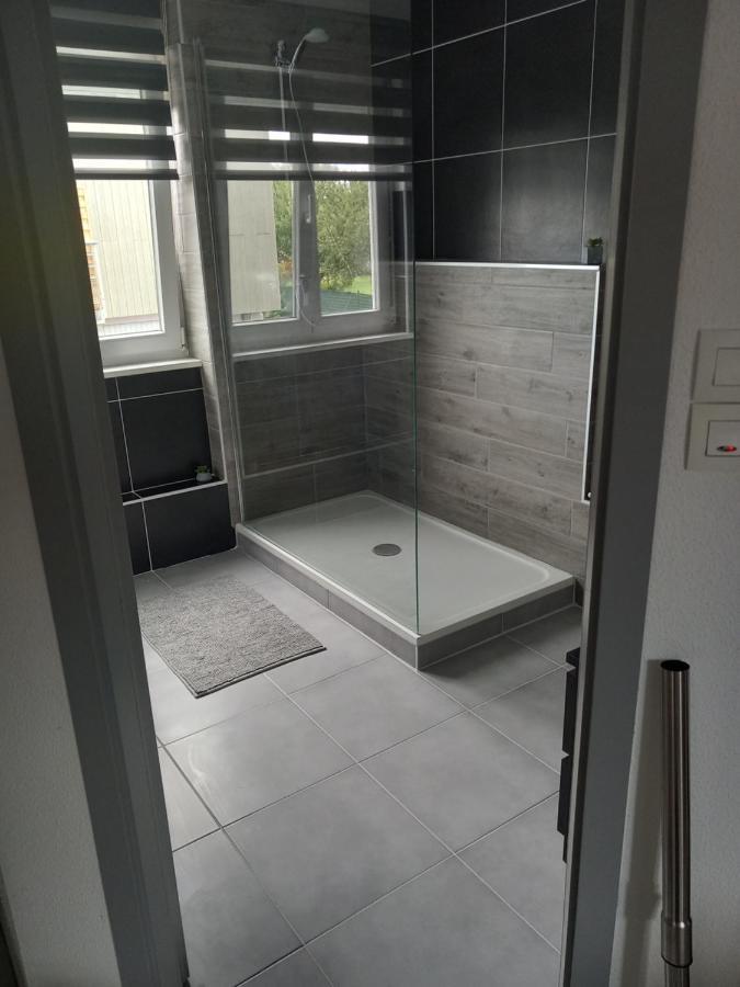 Appartement 3 Pieces Avec Balcon Rhinau エクステリア 写真