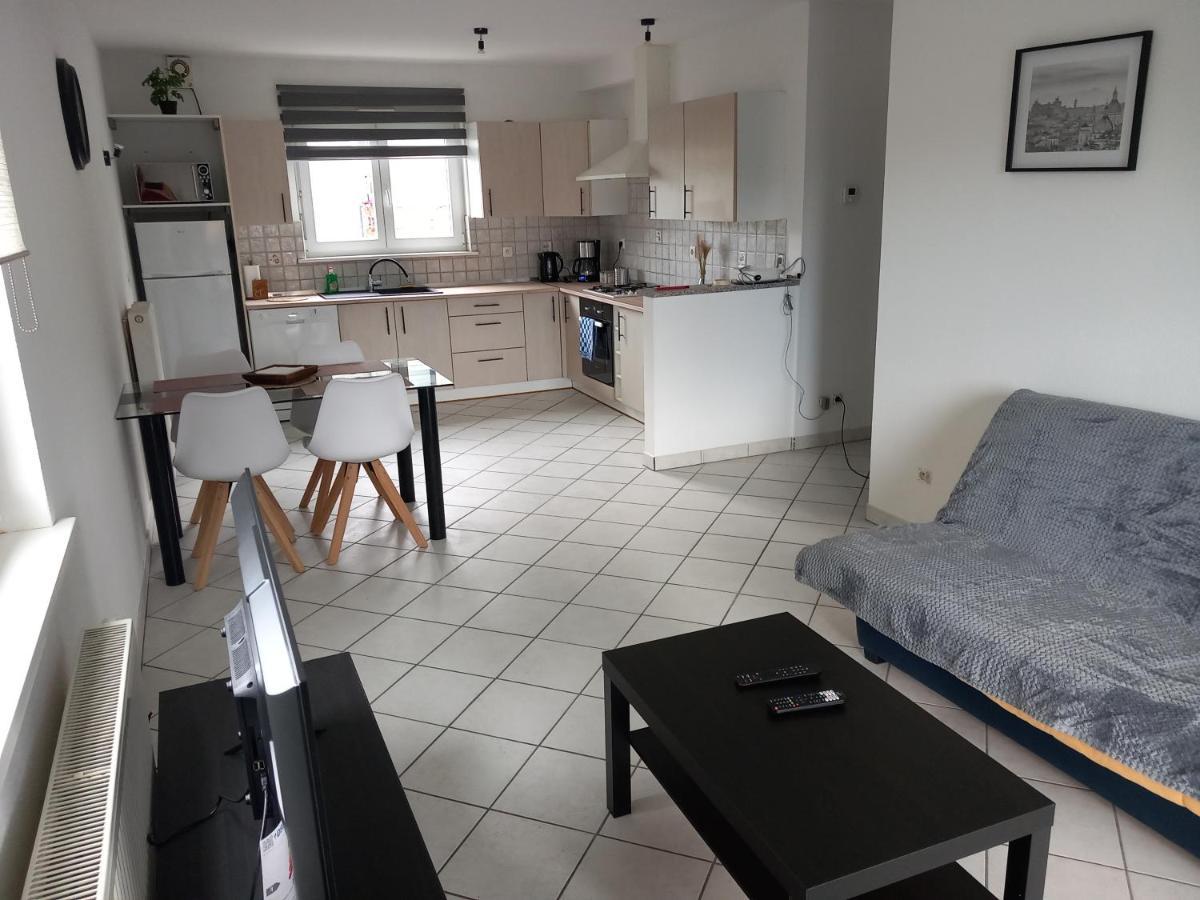 Appartement 3 Pieces Avec Balcon Rhinau エクステリア 写真